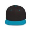 2269127234571082512_2048.jpeg Avonem Flat Bill Snapback